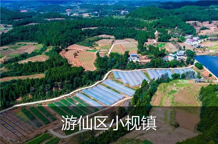 游仙区小枧镇