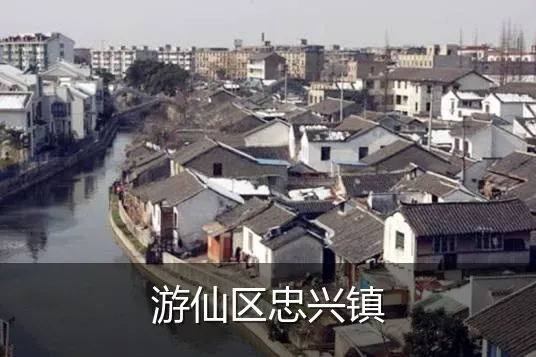 游仙区忠兴镇