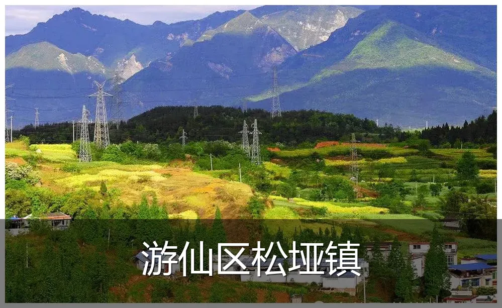 游仙区松垭镇