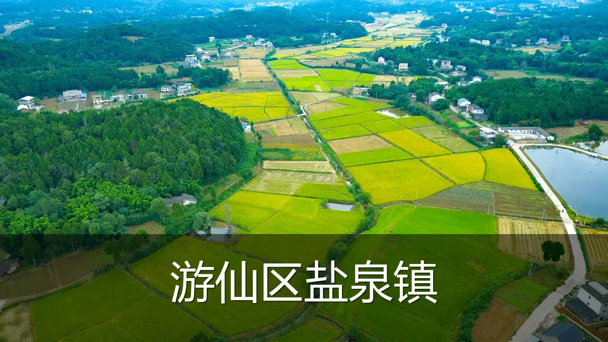 游仙区盐泉镇