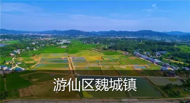 游仙区魏城镇